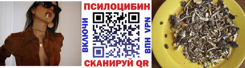 где купить гидра рабочий сайт Псилоцибиновые грибы Magic Shrooms Торжок